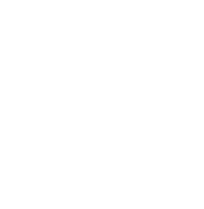 LSC_logo-white